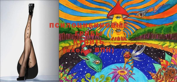 мдма Богданович