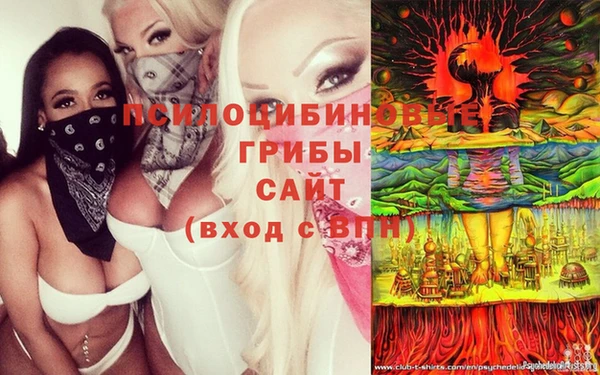 мдма Богданович