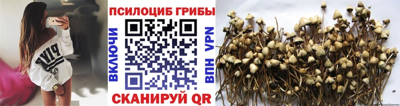 Галлюциногенные грибы Magic Shrooms  наркошоп  OMG как войти  Нижневартовск 